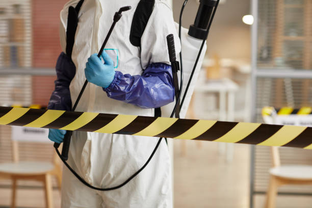 Professional Sewage Cleanup technician working in Houston, TX